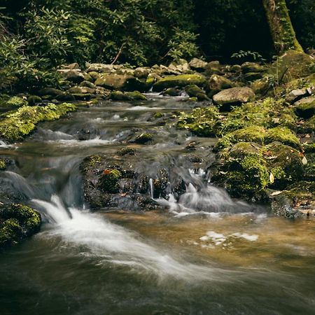 The Dogwood In Treehouse Grove At Norton Creek Villa Gatlinburg Ngoại thất bức ảnh