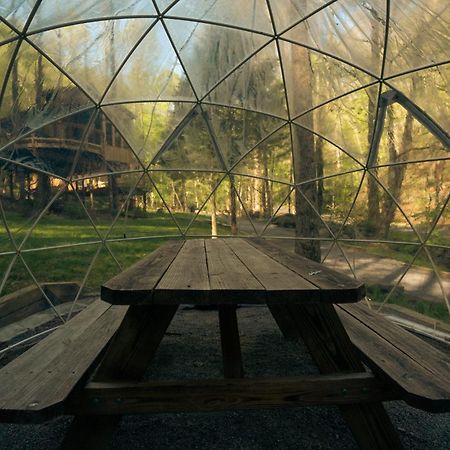 The Dogwood In Treehouse Grove At Norton Creek Villa Gatlinburg Ngoại thất bức ảnh