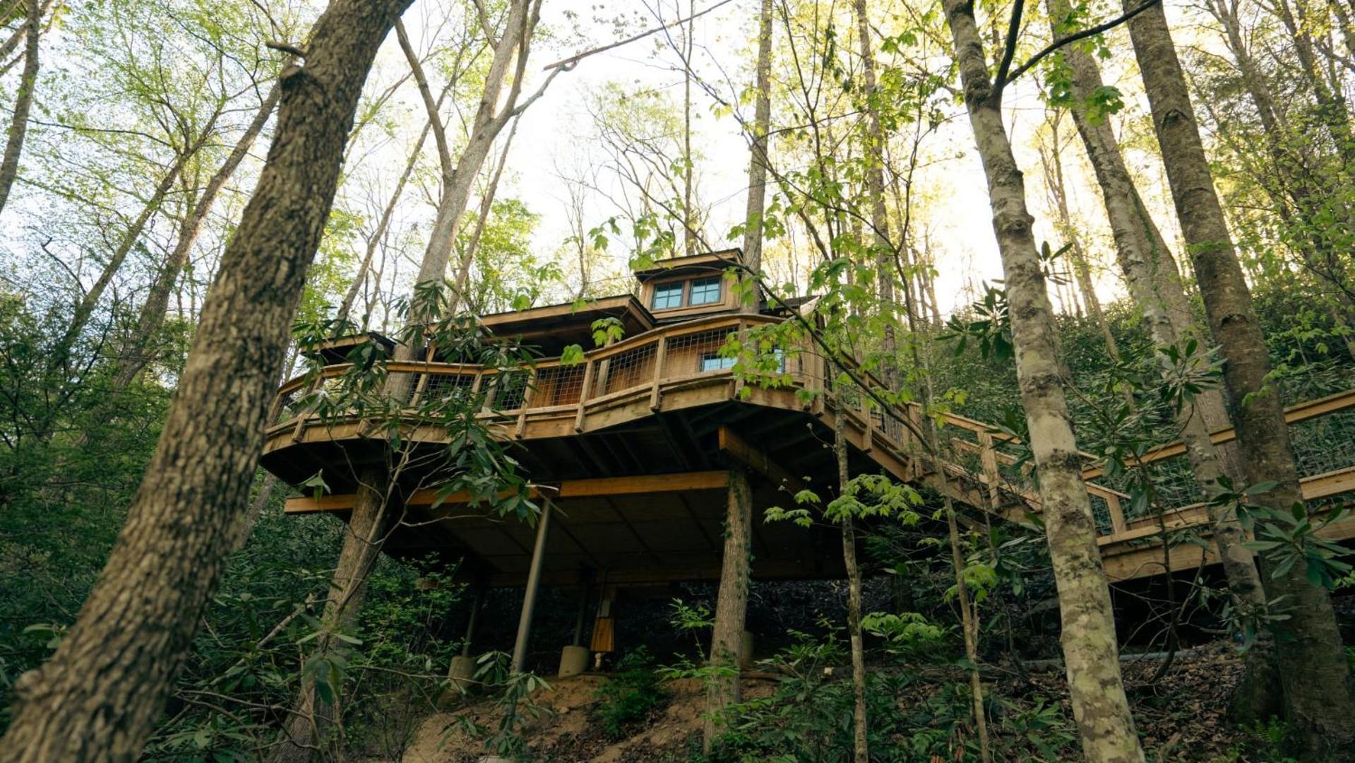 The Dogwood In Treehouse Grove At Norton Creek Villa Gatlinburg Ngoại thất bức ảnh