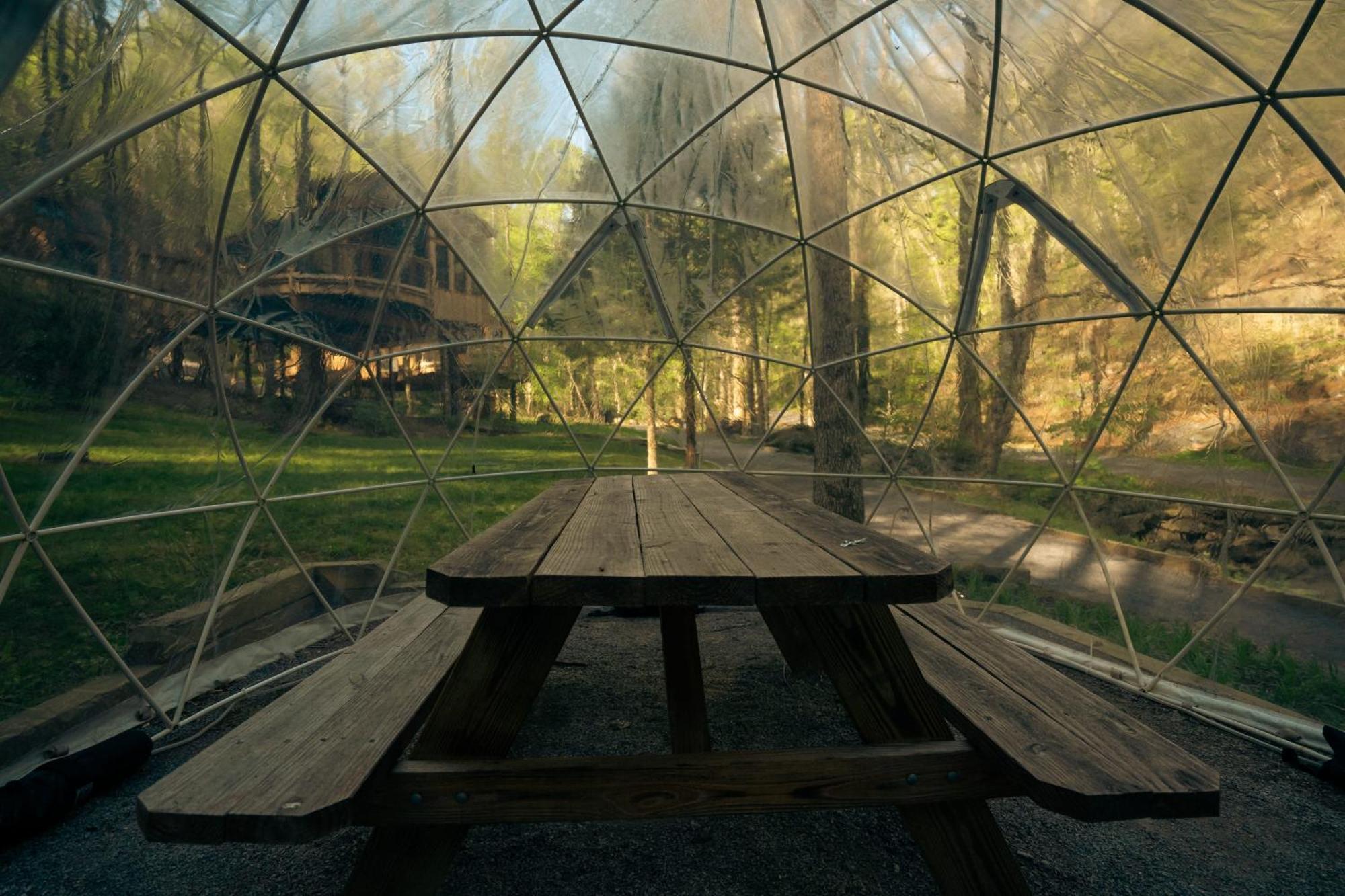 The Dogwood In Treehouse Grove At Norton Creek Villa Gatlinburg Ngoại thất bức ảnh