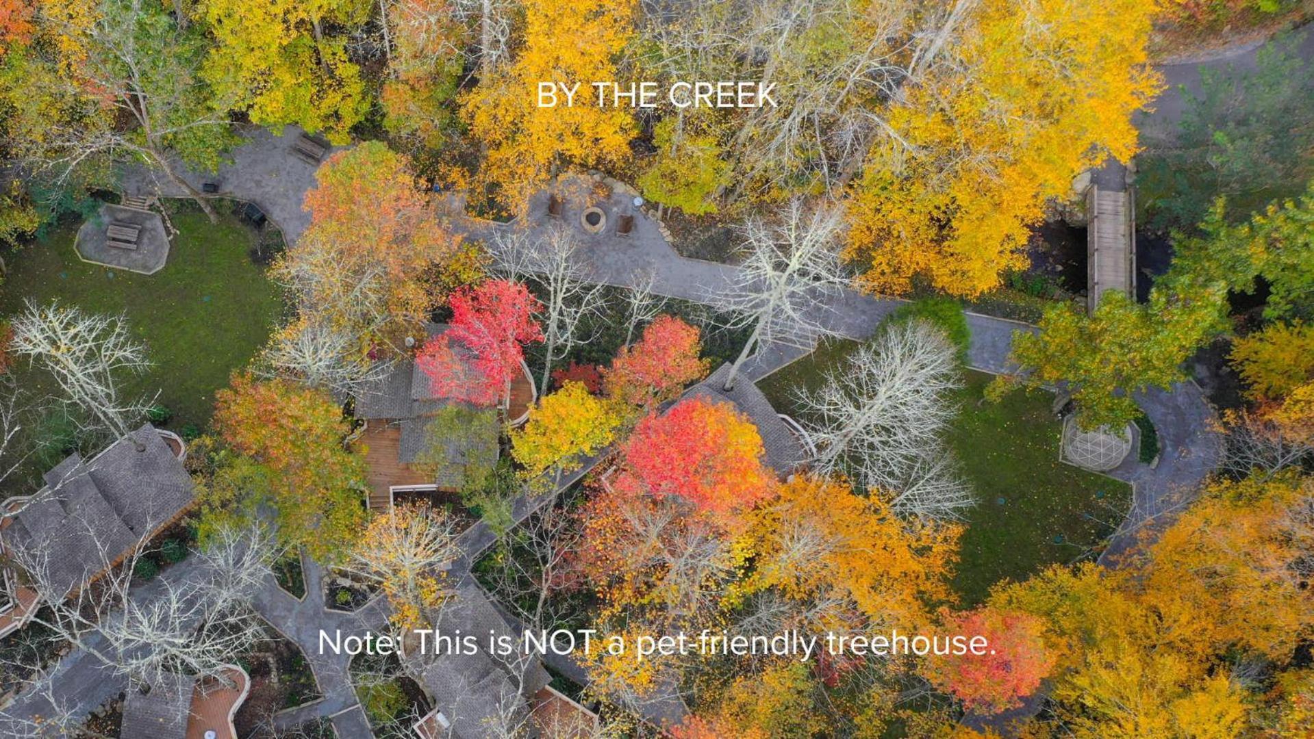 The Dogwood In Treehouse Grove At Norton Creek Villa Gatlinburg Ngoại thất bức ảnh